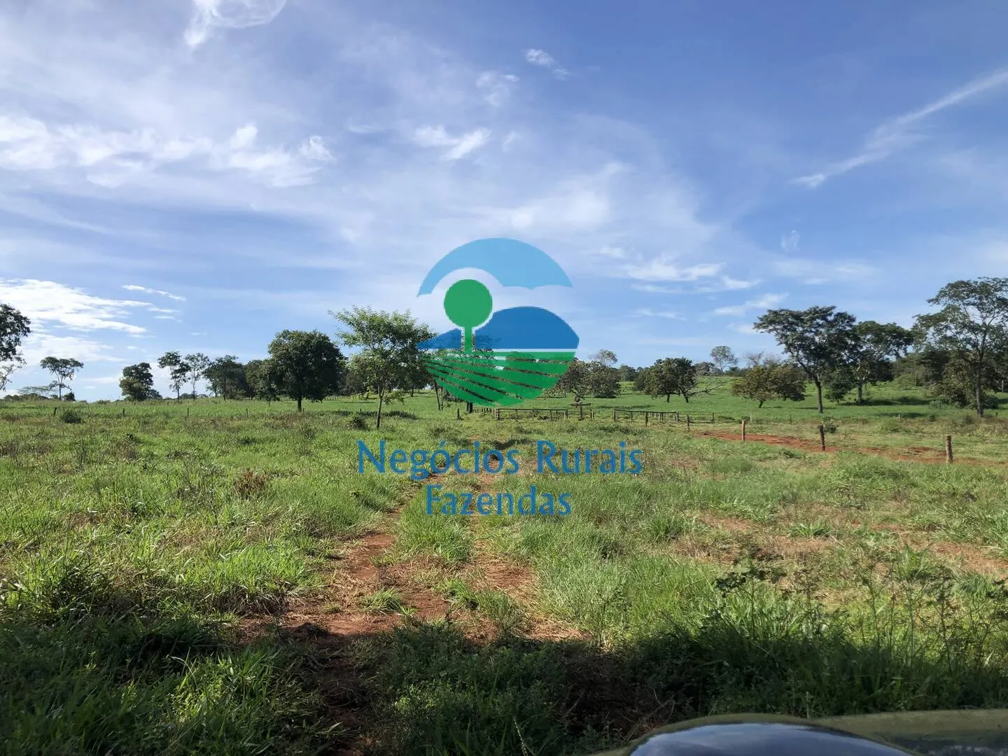 Fazenda à venda de 677 ha em Campinorte, GO, Brasil