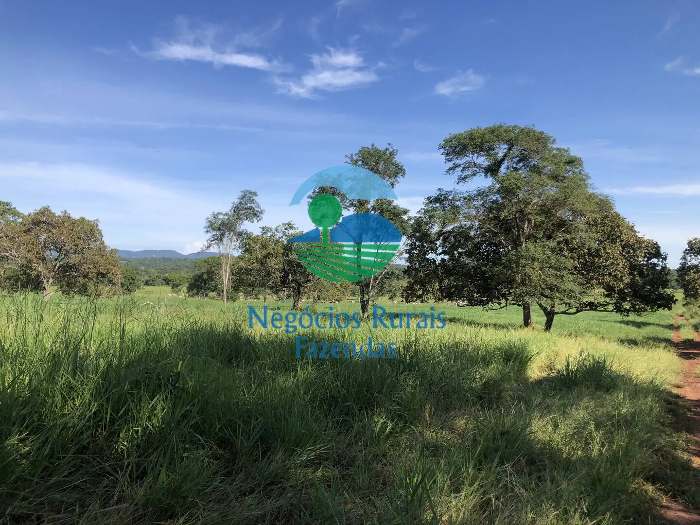 Fazenda à venda de 677 ha em Campinorte, GO, Brasil