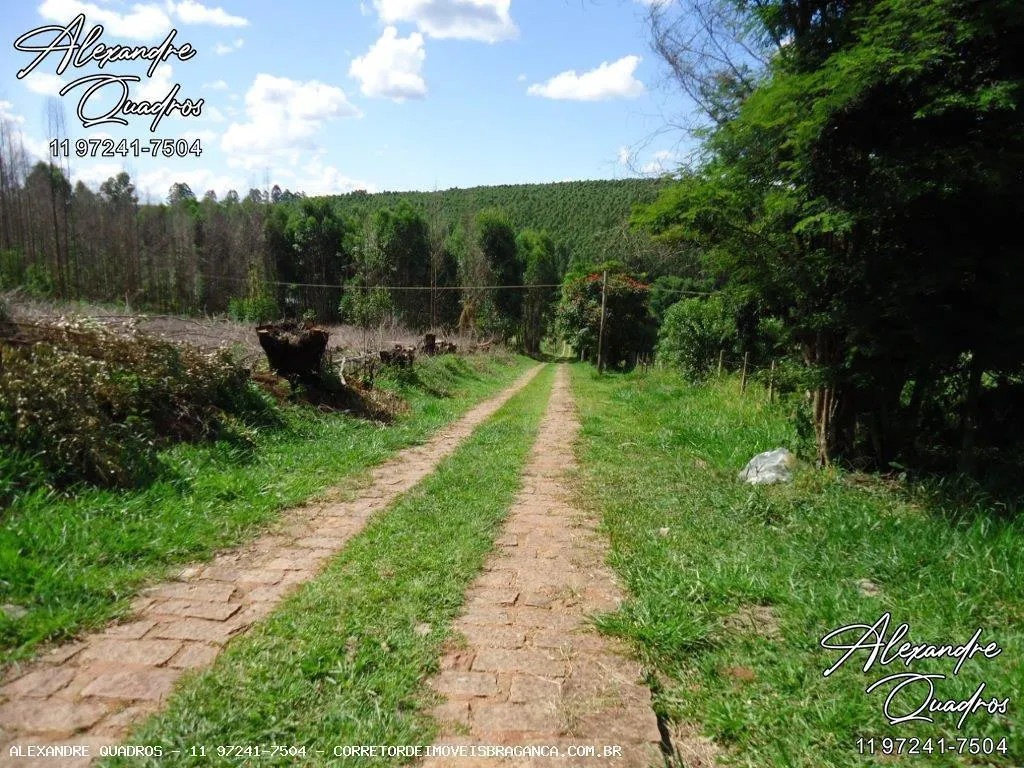 Sítio à venda de 6 ha em Bragança Paulista, SP, Brasil
