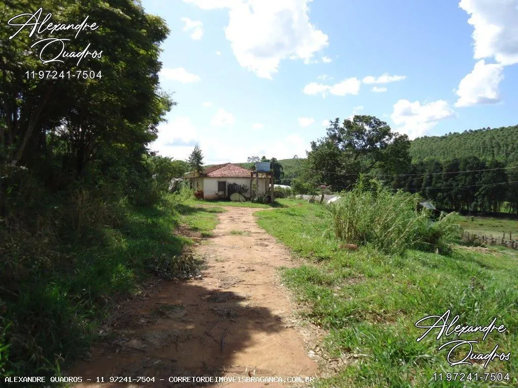 Sítio à venda de 6 ha em Bragança Paulista, SP, Brasil