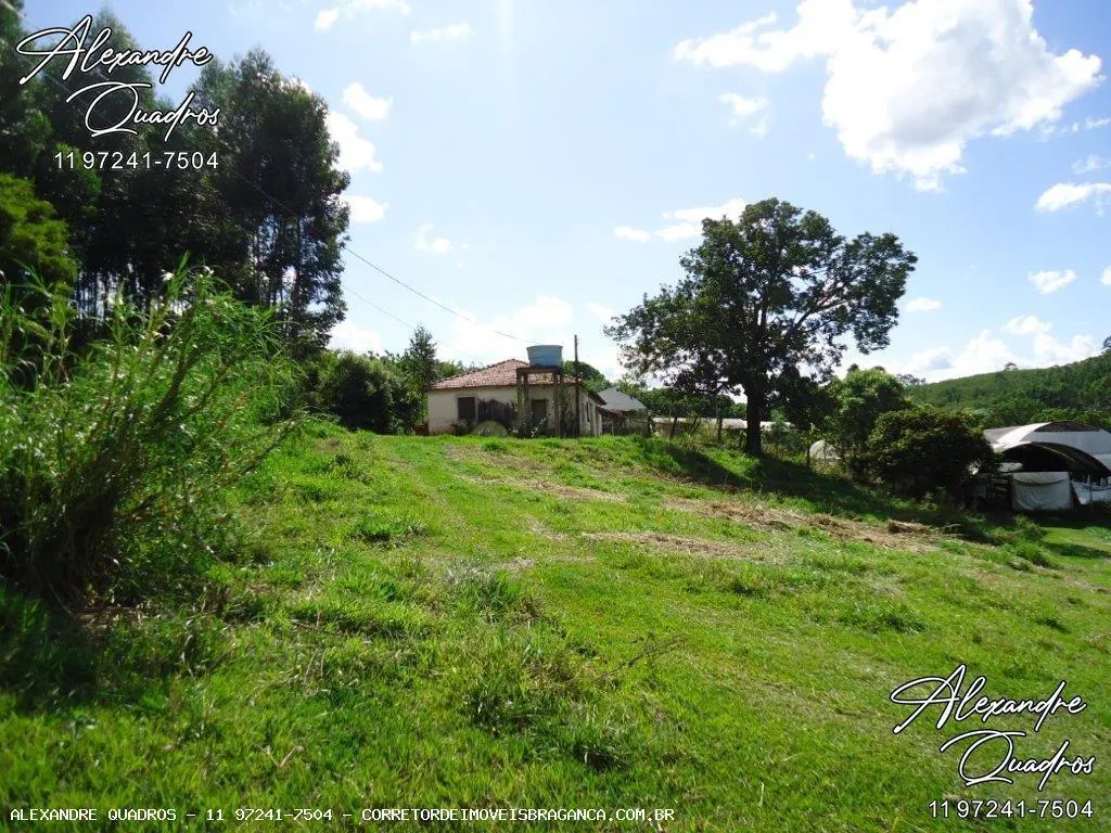Sítio à venda de 6 ha em Bragança Paulista, SP, Brasil