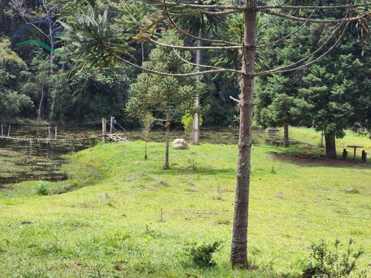 Fazenda à venda de 53 ha em Piracaia, SP, Brasil