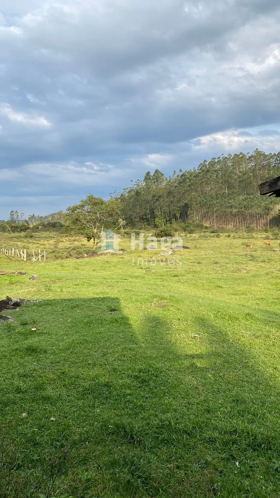 Fazenda à venda de 84 ha em Tijucas, SC, Brasil