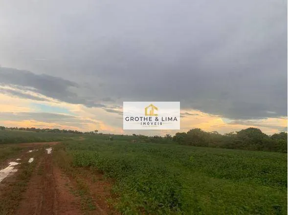 Fazenda à venda de 1.883 ha em Formoso do Araguaia, TO, Brasil