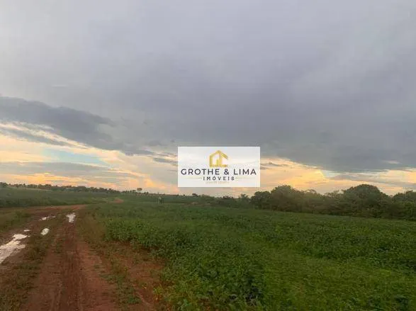 Fazenda à venda de 1.883 ha em Formoso do Araguaia, TO, Brasil