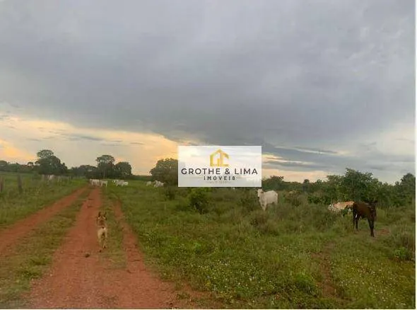 Fazenda à venda de 1.883 ha em Formoso do Araguaia, TO, Brasil
