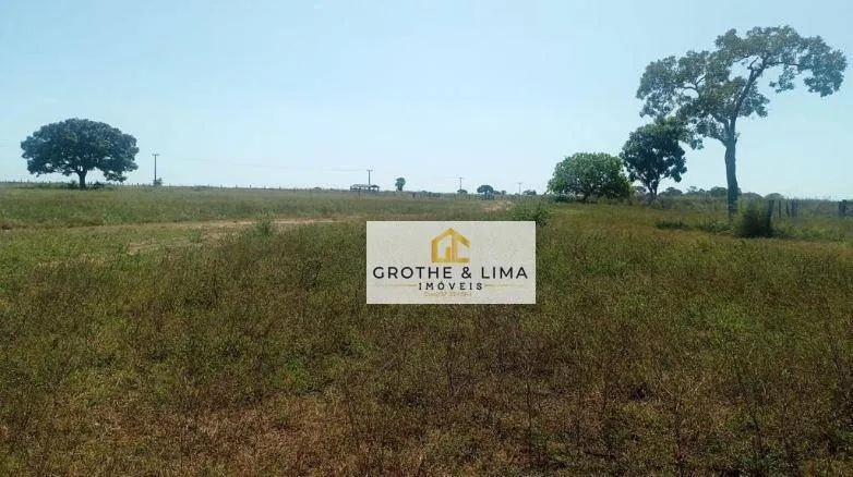 Fazenda à venda de 1.883 ha em Formoso do Araguaia, TO, Brasil