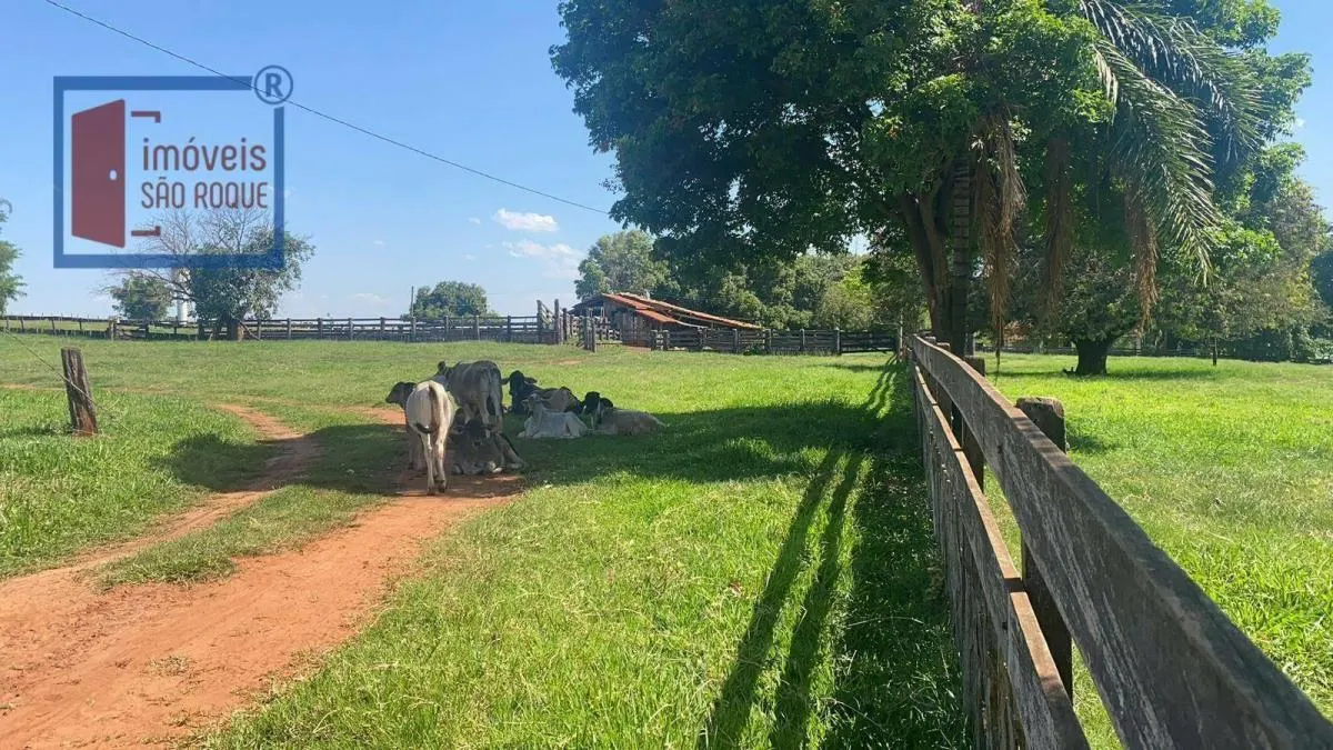 Fazenda à venda de 491 ha em Araçatuba, SP, Brasil