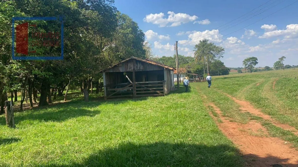 Fazenda à venda de 491 ha em Araçatuba, SP, Brasil