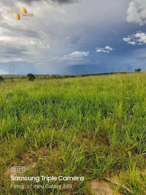 Fazenda à venda de 9.000 ha em Primavera do Leste, MT, Brasil