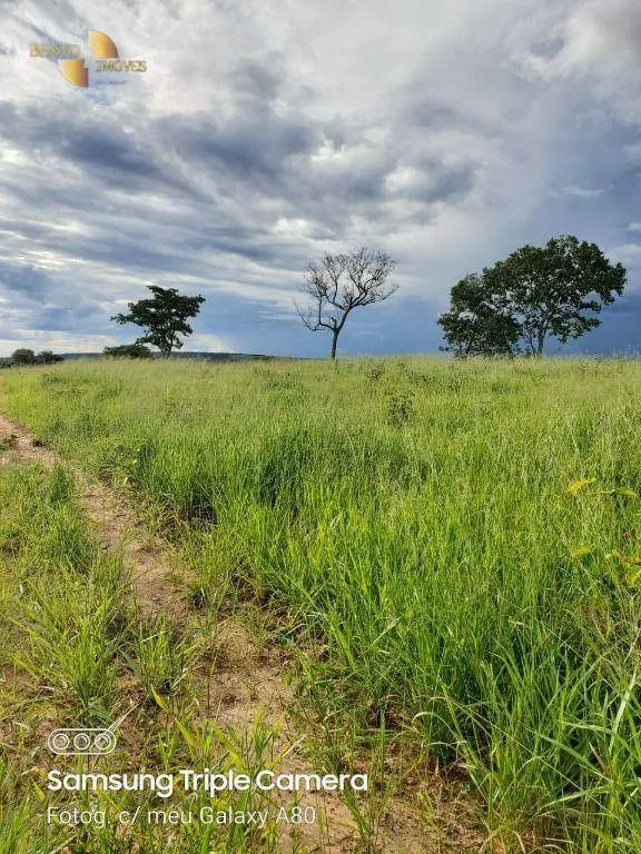 Fazenda à venda de 9.000 ha em Primavera do Leste, MT, Brasil