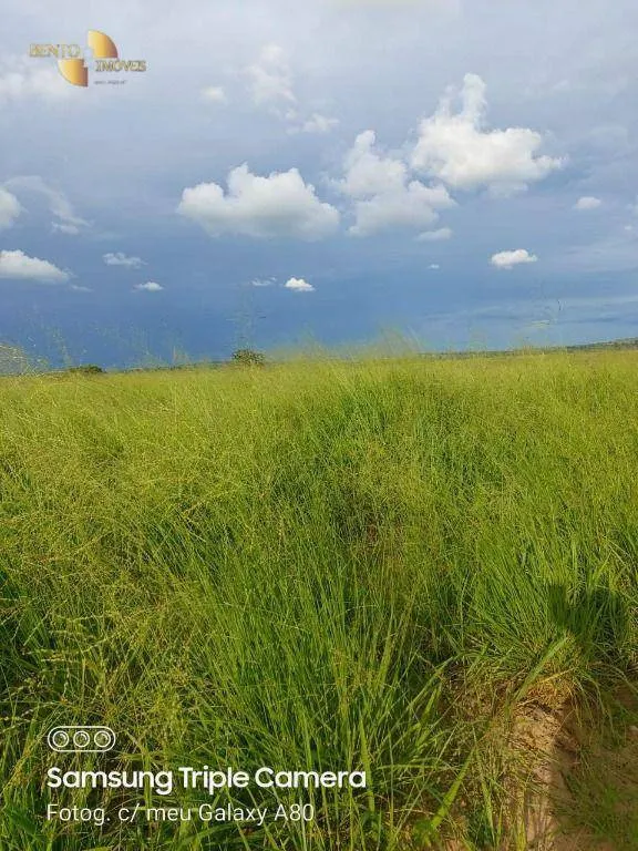 Fazenda à venda de 9.000 ha em Primavera do Leste, MT, Brasil
