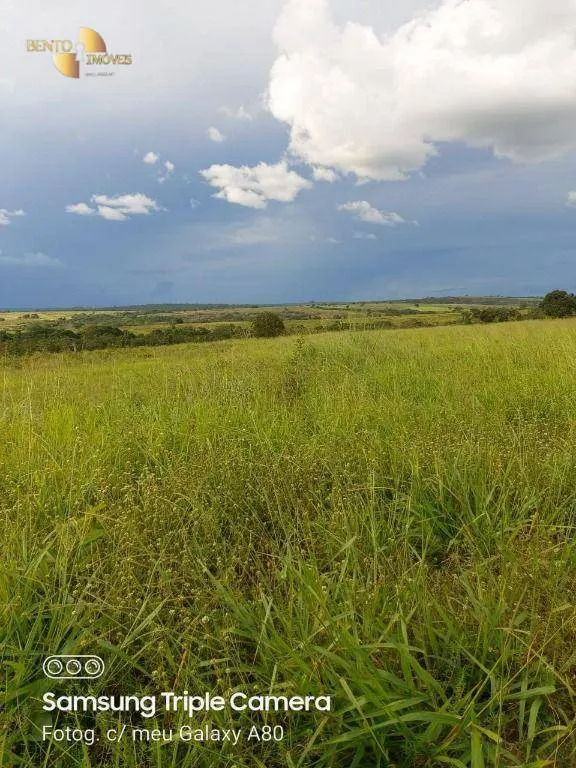 Fazenda à venda de 9.000 ha em Primavera do Leste, MT, Brasil