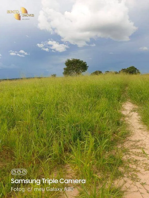 Fazenda à venda de 9.000 ha em Primavera do Leste, MT, Brasil