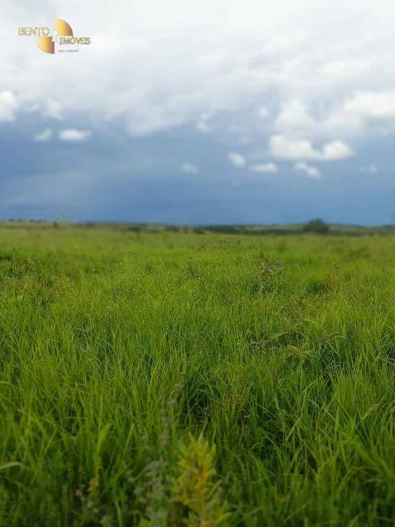 Fazenda à venda de 9.000 ha em Primavera do Leste, MT, Brasil