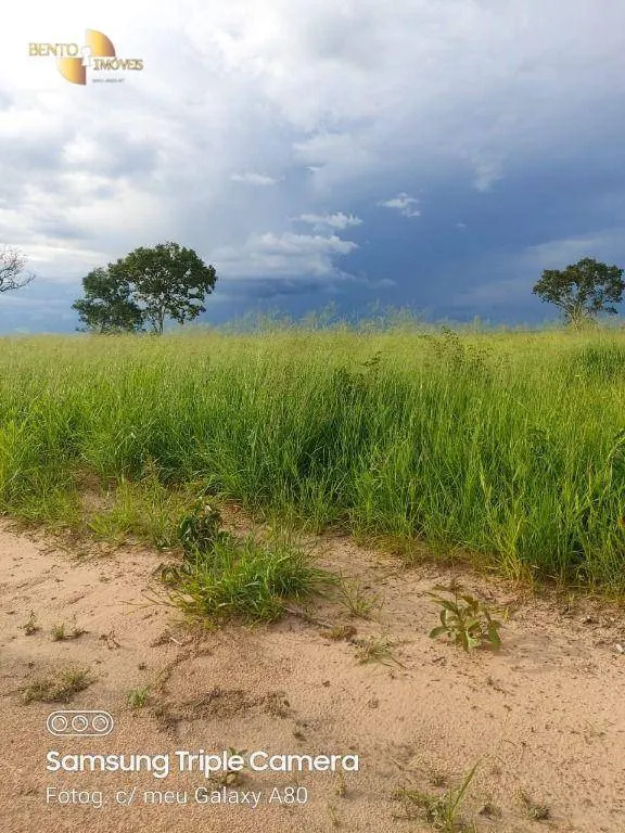 Fazenda à venda de 9.000 ha em Primavera do Leste, MT, Brasil