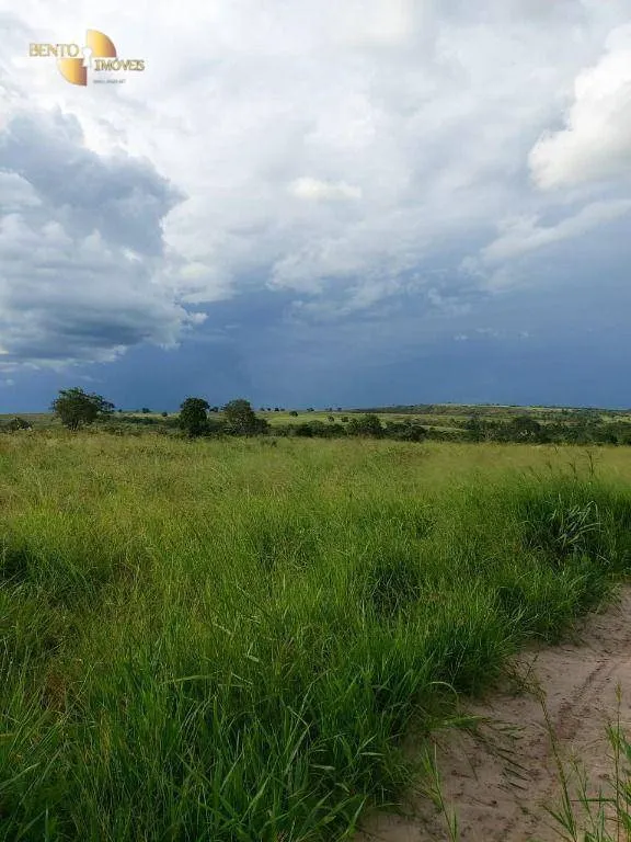 Fazenda à venda de 9.000 ha em Primavera do Leste, MT, Brasil