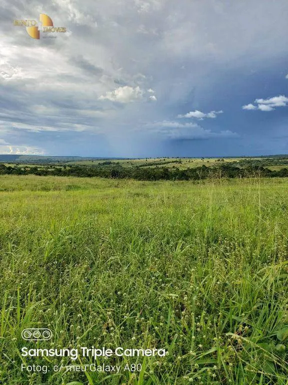 Fazenda à venda de 9.000 ha em Primavera do Leste, MT, Brasil