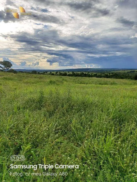 Fazenda à venda de 9.000 ha em Primavera do Leste, MT, Brasil