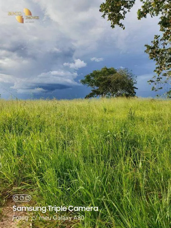 Fazenda à venda de 9.000 ha em Primavera do Leste, MT, Brasil