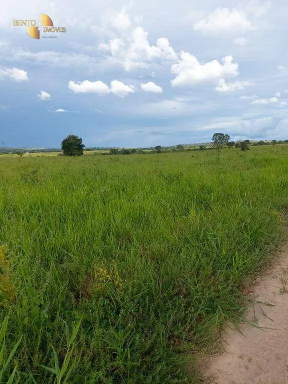 Fazenda à venda de 9.000 ha em Primavera do Leste, MT, Brasil
