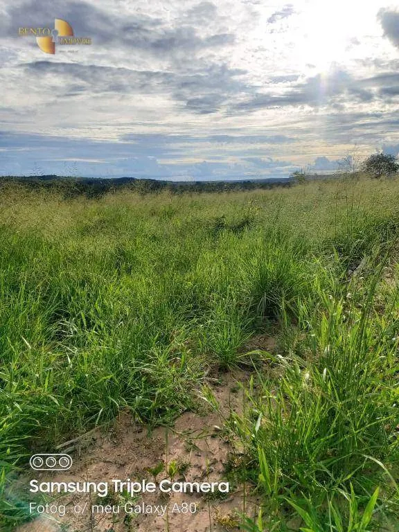 Fazenda à venda de 9.000 ha em Primavera do Leste, MT, Brasil