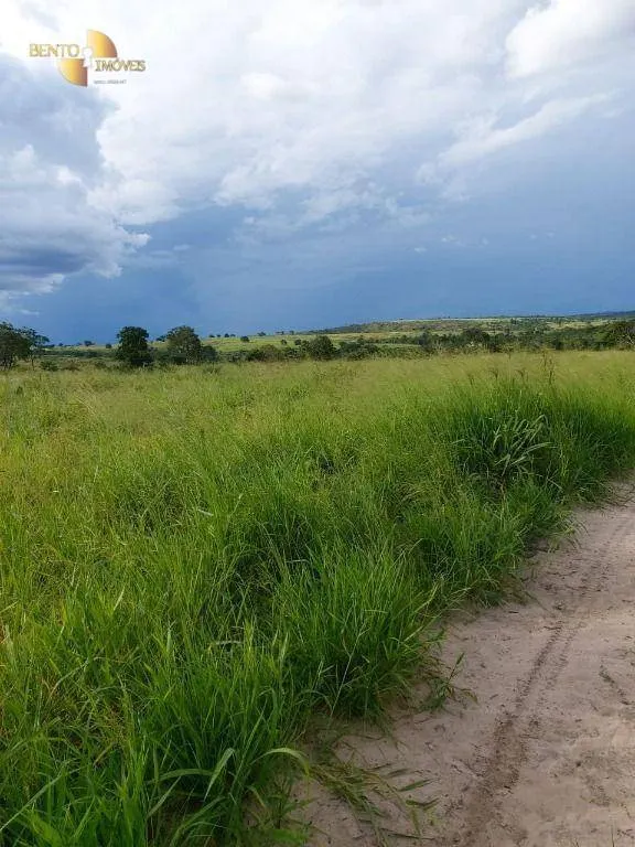 Fazenda à venda de 9.000 ha em Primavera do Leste, MT, Brasil