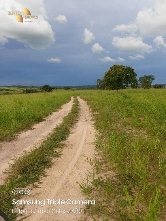 Fazenda à venda de 9.000 ha em Primavera do Leste, MT, Brasil