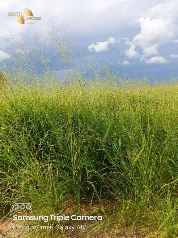 Fazenda à venda de 9.000 ha em Primavera do Leste, MT, Brasil
