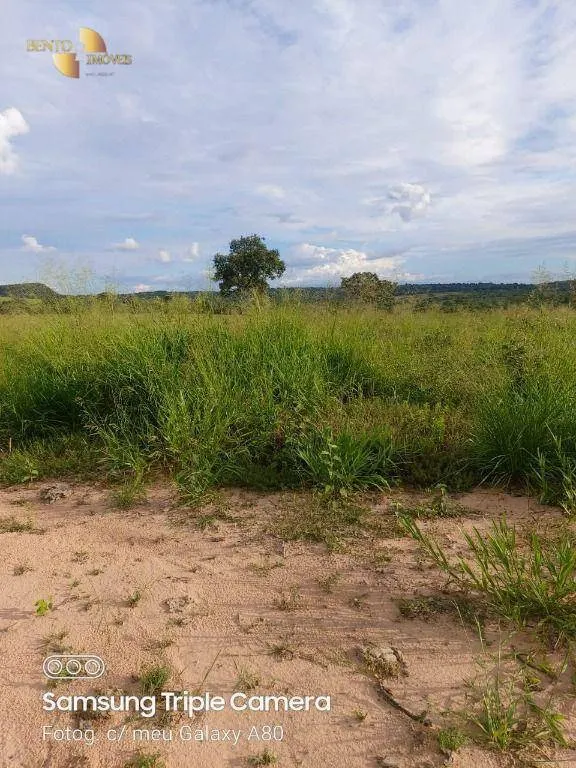Fazenda à venda de 9.000 ha em Primavera do Leste, MT, Brasil