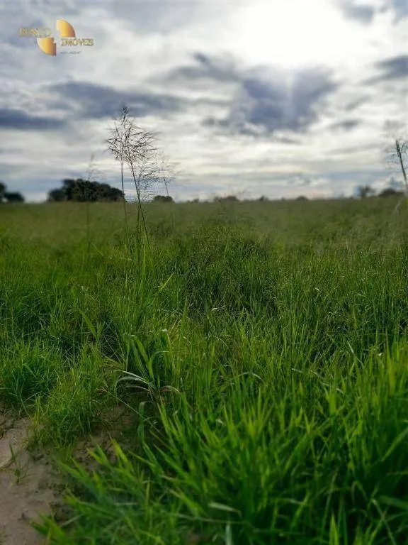 Fazenda à venda de 9.000 ha em Primavera do Leste, MT, Brasil