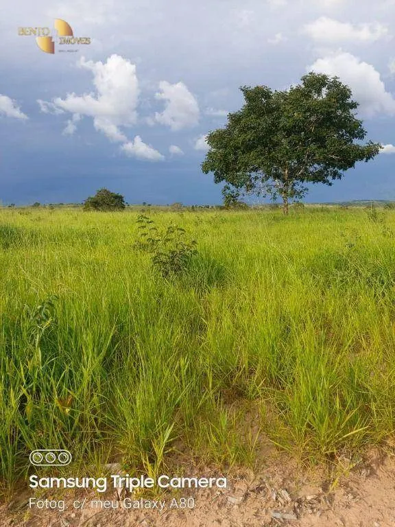Fazenda à venda de 9.000 ha em Primavera do Leste, MT, Brasil