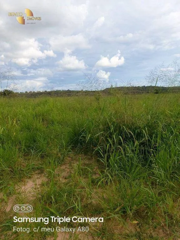 Fazenda à venda de 9.000 ha em Primavera do Leste, MT, Brasil