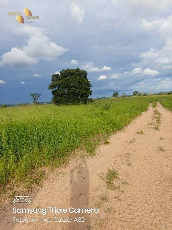 Fazenda à venda de 9.000 ha em Primavera do Leste, MT, Brasil