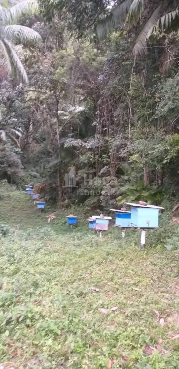 Chácara à venda de 26 ha em Angelina, SC, Brasil