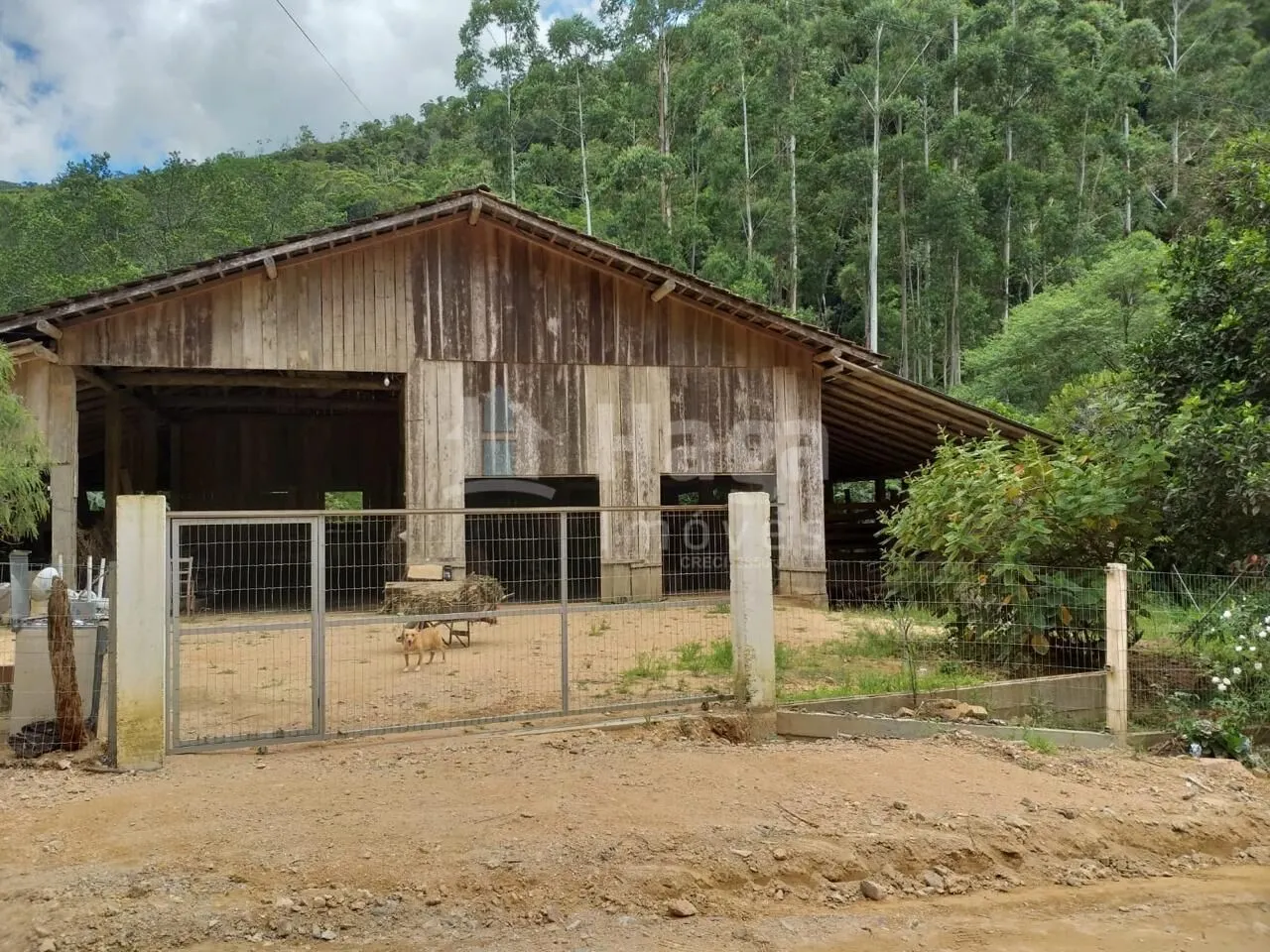 Chácara à venda de 26 ha em Angelina, SC, Brasil