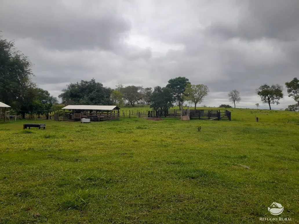 Fazenda à venda de 118 ha em Camapuã, MS, Brasil