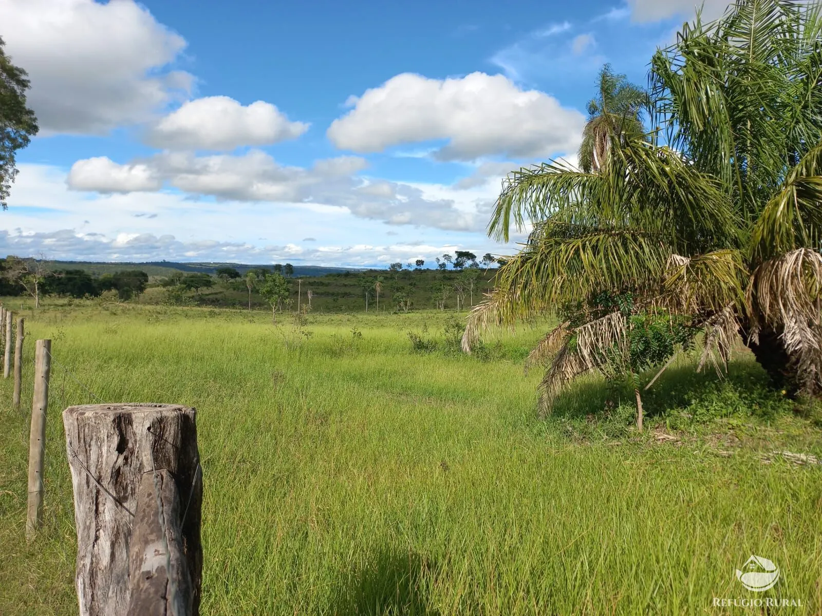 Fazenda à venda de 118 ha em Camapuã, MS, Brasil