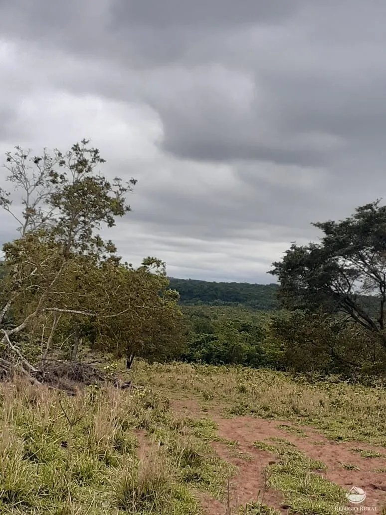 Fazenda à venda de 118 ha em Camapuã, MS, Brasil