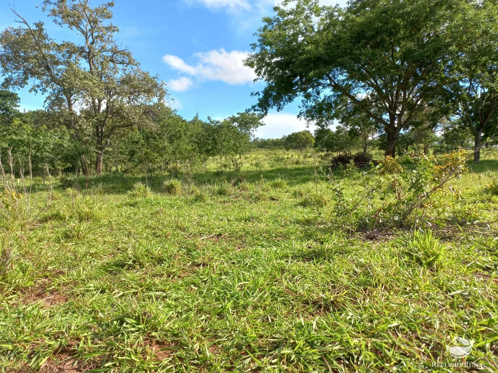 Fazenda à venda de 118 ha em Camapuã, MS, Brasil