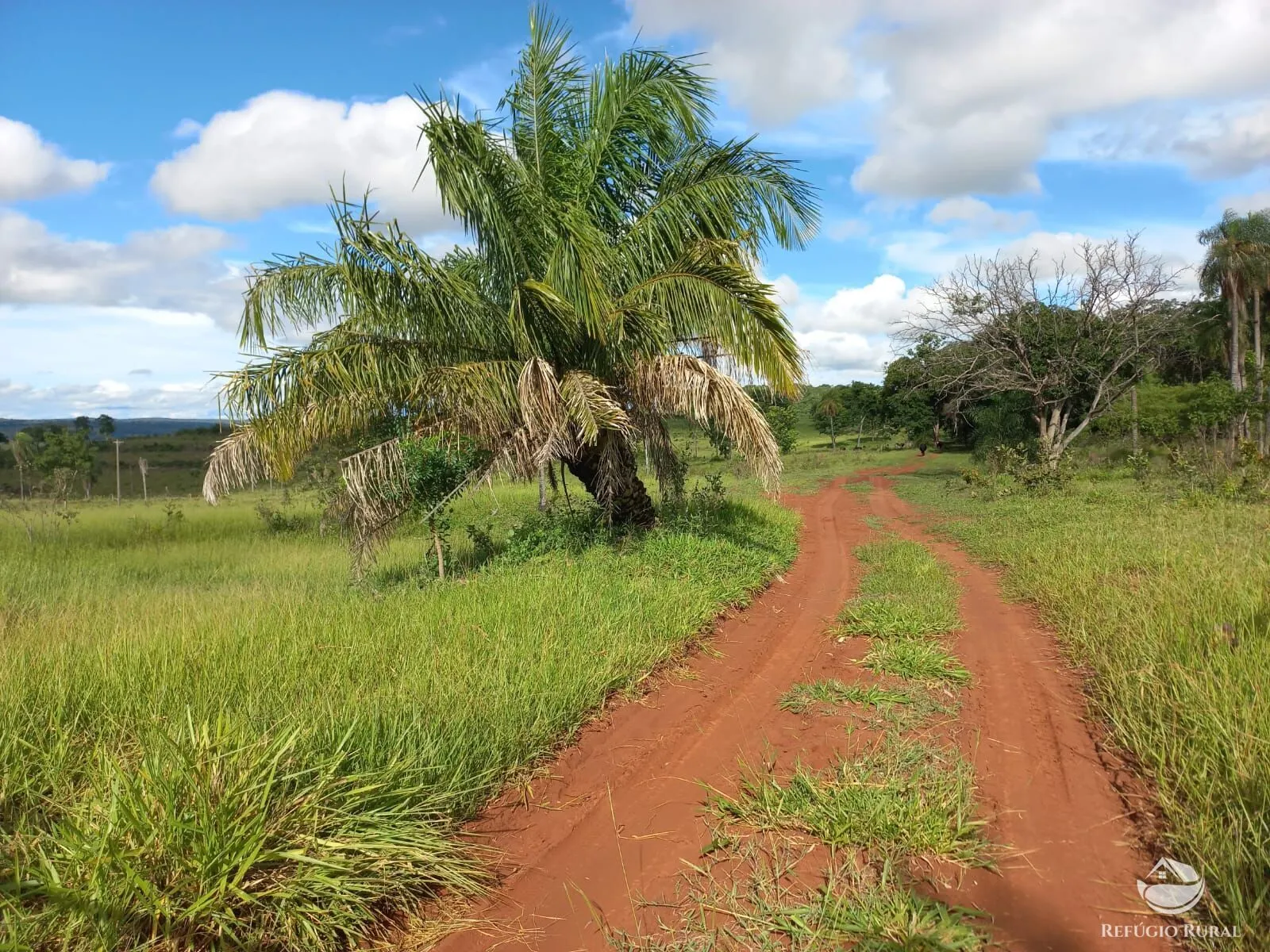 Fazenda à venda de 118 ha em Camapuã, MS, Brasil