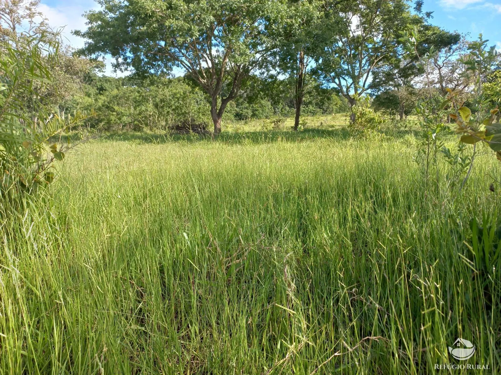 Fazenda à venda de 118 ha em Camapuã, MS, Brasil
