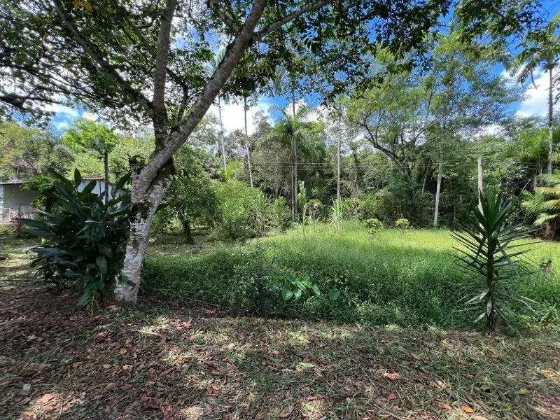 Sítio à venda de 18 ha em Miracatu, SP, Brasil