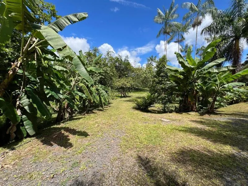 Sítio à venda de 18 ha em Miracatu, SP, Brasil