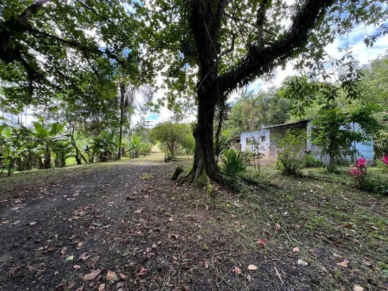 Sítio à venda de 18 ha em Miracatu, SP, Brasil