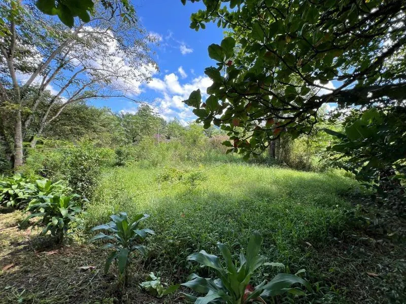 Sítio à venda de 18 ha em Miracatu, SP, Brasil