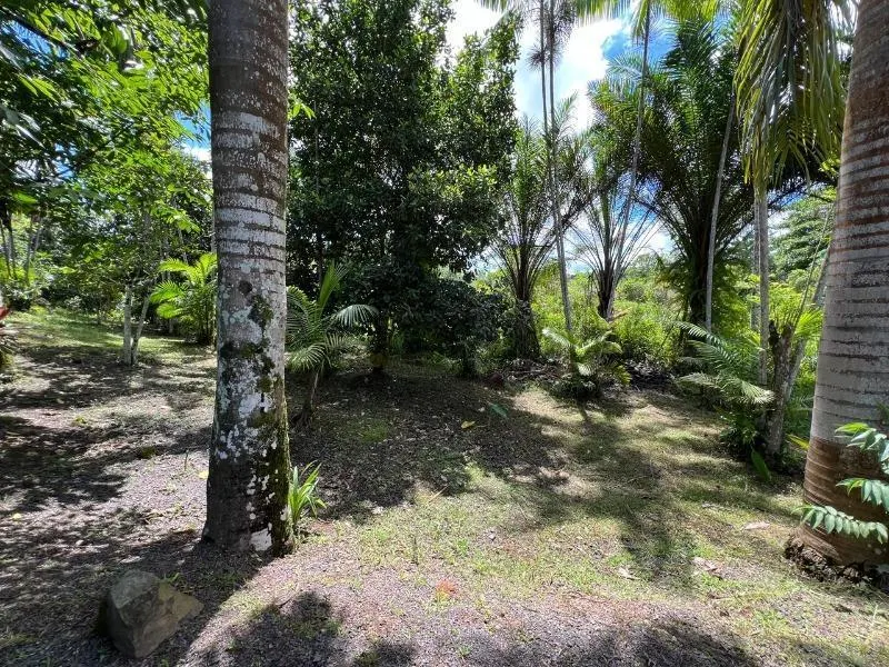 Sítio à venda de 18 ha em Miracatu, SP, Brasil
