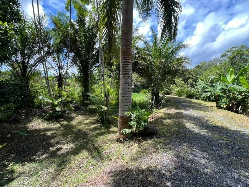 Sítio à venda de 18 ha em Miracatu, SP, Brasil