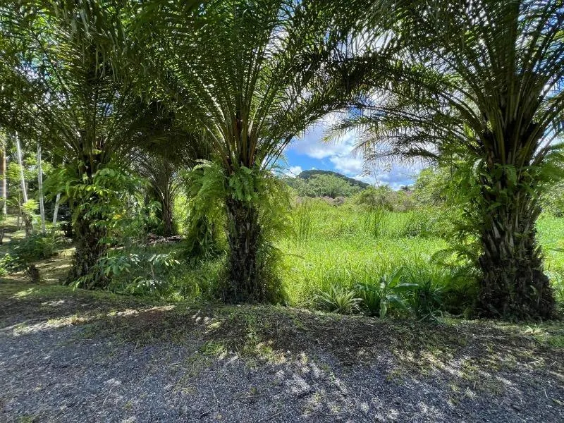 Sítio à venda de 18 ha em Miracatu, SP, Brasil