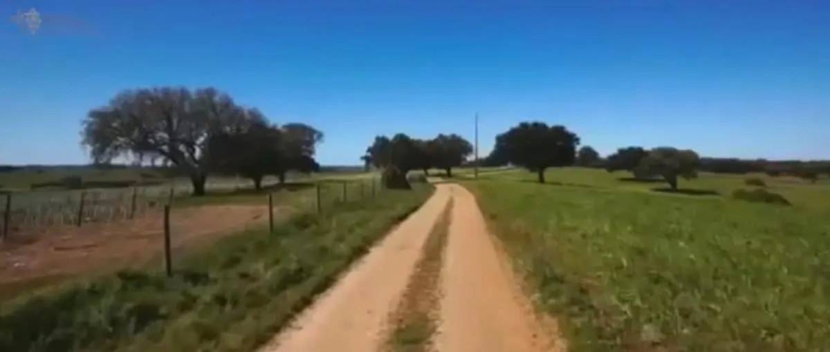 Fazenda à venda de 317 ha em São Paulo, SP, Brasil